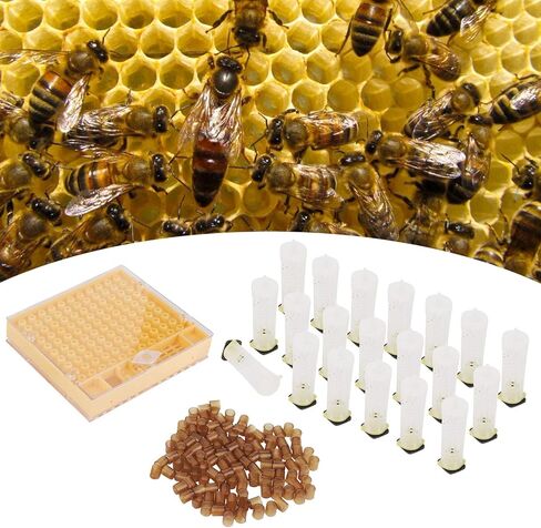 Queen Bee Rearing Plastic Cage Kit for Beekeepers Efficient Cell Cup System for Bee Breeding Suitable for Small Beekeeping Farms 15.5oz in Saudi Arabia