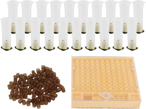 Queen Bee Rearing Plastic Cage Kit for Beekeepers Efficient Cell Cup System for Bee Breeding Suitable for Small Beekeeping Farms 15.5oz in Saudi Arabia