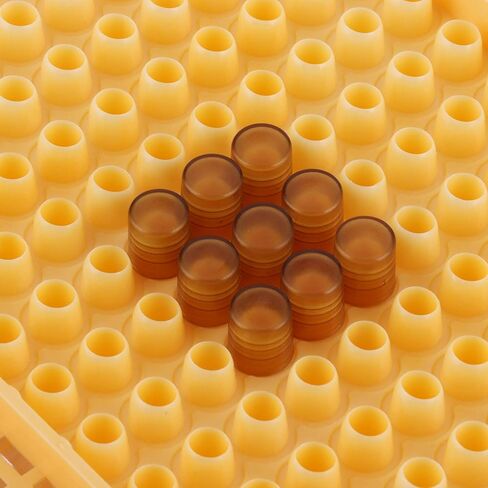 Queen Bee Rearing Plastic Cage Kit for Beekeepers Efficient Cell Cup System for Bee Breeding Suitable for Small Beekeeping Farms 15.5oz in Saudi Arabia