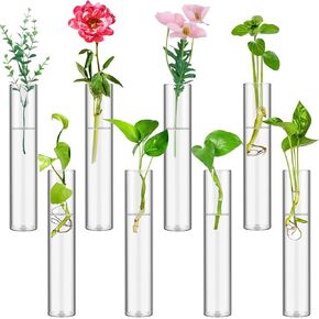 8 Tube Glass Plant Propagation Stations Clear Glass Test Tubes Tiered Planters Accessories for Home Office Plant Hanger Flower Vases Wall Decor Hydroponic Cuttings Clear Vases in Kuwait