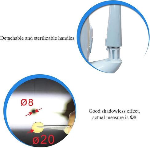 مصباح LED للأسنان بدون ظل، ضوء فحص الأسنان مع واجهة 22 مم، ذراع المصباح وسطوع قابل للتعديل بمرونة، إضاءة باردة ناعمة وموفرة للطاقة، لغرفة طب الأسنان، كرسي الأسنان in Kuwait