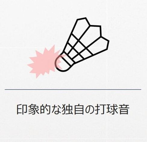 Victor Badminton - Artificial Shuttle Practice Balls (Carbon Shuttle) Carbon Shuttle Pro NCSPRO 12 Pack in Kuwait