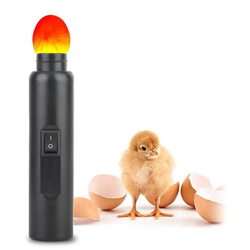 FLEXMAN Egg Candler Tester, LED Light Egg Tester Candling Lamp, Multi Purpose Auto Mini Lighting Lamp for All Types Egg Broody or Incubator in Kuwait