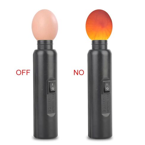 FLEXMAN Egg Candler Tester, LED Light Egg Tester Candling Lamp, Multi Purpose Auto Mini Lighting Lamp for All Types Egg Broody or Incubator in Kuwait