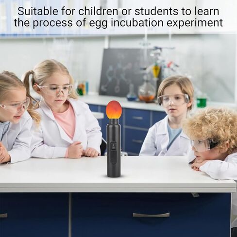 FLEXMAN Egg Candler Tester, LED Light Egg Tester Candling Lamp, Multi Purpose Auto Mini Lighting Lamp for All Types Egg Broody or Incubator in Kuwait