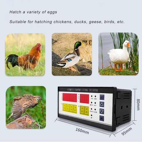 XM-18ZH Digital Incubator Controller for Hatching Eggs – Fahrenheit Display with 7-Way Output, Temp/Humidity Sensors, Built-in Alarm , Adjustable Egg Turning(110-220V) in Kuwait