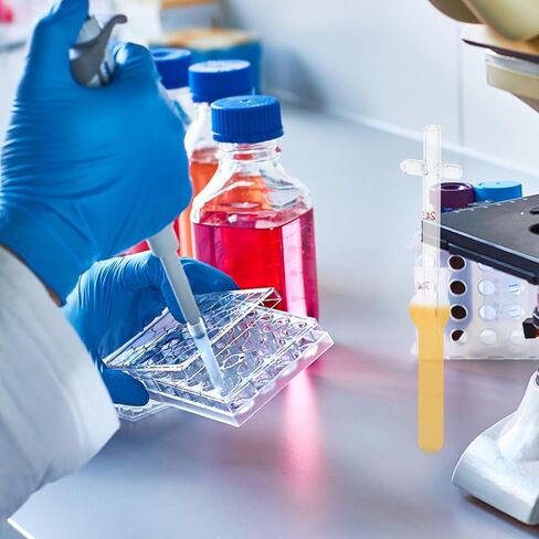 2pcs 2ml Glass Cell Tissue Homogenizer Borosilicate Glass Mortar and Pestle Laboratory Grinder for Scientific Experiments and Teaching Supplies in Kuwait