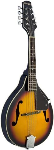 Stagg Bluegrass Mandolin - Violinburst in Saudi Arabia
