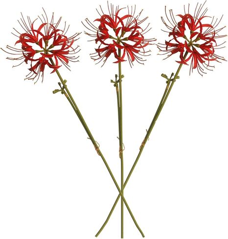 كالسيفر 3 سيقان زنابق العنكبوت الحمراء زهور اصطناعية لمبات ليكوريس (أحمر) in Kuwait