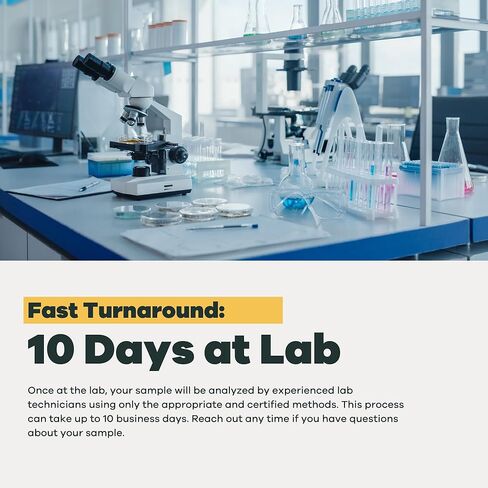 مجموعة أدوات اختبار البكتيريا البيوفيلمية في الماء | حسنا أو مدينة | التقرير الكامل | مختبرات مياه الشرب المعتمدة من وكالة حماية البيئة (EPA) | #1 أفضل اختبار للمياه المنزلية لعام 2021-24 بحسب صحيفة نيويورك تايمز Wirecutter | 100% غير متحيزة in Kuwait