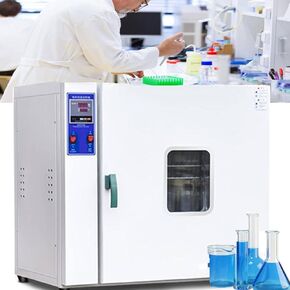 15L Vacuum Drying Oven with Digital Controller & Vacuum Gauge, Lab Heating Oven for Precise Drying, Adjustable Temp 50-300°C, Ideal for Scientific Research & Industrial Use in Kuwait