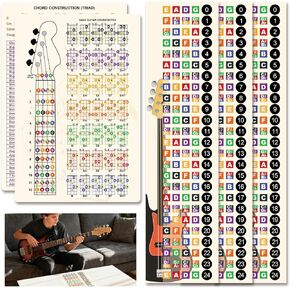 مجموعة تعلم الجهير: 3 ملصقات فريتس وقطعة واحدة 30 سم × 20 سم × 1 مم بطاقة فاصلة من مادة PVC - التدريب المنزلي والدرس الذي يجب اقتناؤه لعازفي الجيتار والهوايات المبتدئين in Kuwait