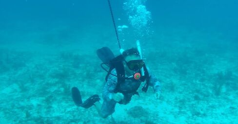 جهاز التنفس الصناعي للغوص المحمول من LieyuDive، مع BCD بحجم واحد، نظام غوص سكوبا قابل لإعادة الشحن لمدة 5.5 ساعة مع خرطوم ومنظم بطول 39 قدمًا، نظام غوص بالبطارية بدون خزان للغوص الترفيهي والغطس in Kuwait