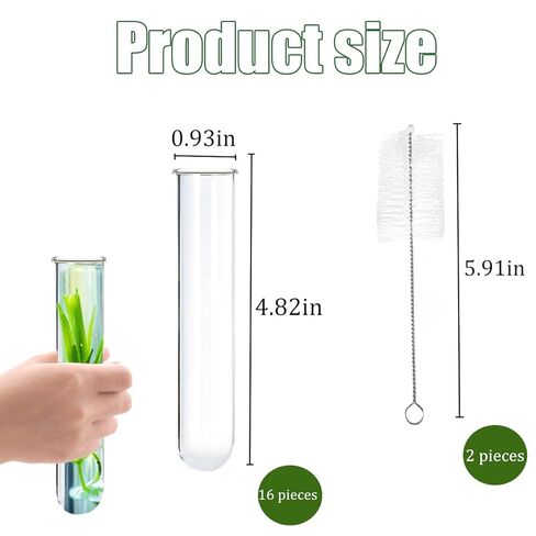 15 قطعة من الأنابيب الزجاجية للنباتات، أنابيب اختبار أنبوب تكاثر النباتات للتجارب العلمية، أنابيب اختبار زجاجية 20 مل للنباتات المائية، ديكور جدار المكتب المنزلي (12 سم) in Kuwait