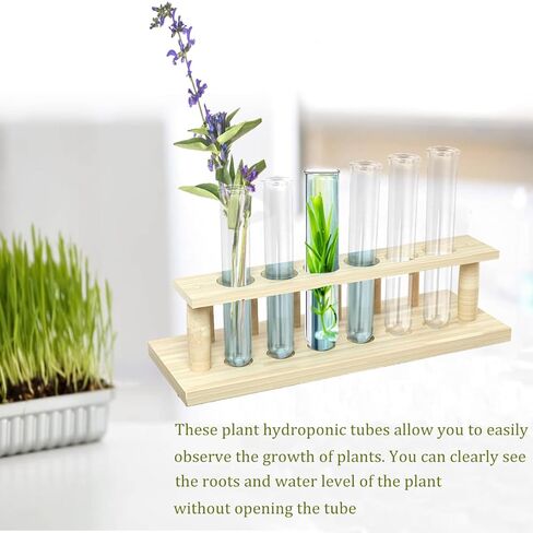 15 قطعة من الأنابيب الزجاجية للنباتات، أنابيب اختبار أنبوب تكاثر النباتات للتجارب العلمية، أنابيب اختبار زجاجية 20 مل للنباتات المائية، ديكور جدار المكتب المنزلي (12 سم) in Kuwait