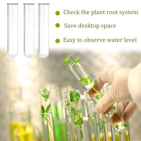 15 قطعة من الأنابيب الزجاجية للنباتات، أنابيب اختبار أنبوب تكاثر النباتات للتجارب العلمية، أنابيب اختبار زجاجية 20 مل للنباتات المائية، ديكور جدار المكتب المنزلي (12 سم) in Kuwait