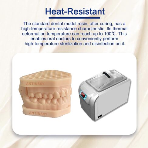 Antinsky Standard Dental Model Resin Dental Model Crown and Bridge Model, Orthodontic Model, Implant Model DLP LCD UV-Curing 405nm 3D Resin Printer 100°C Heat Resistance High Precision Beige 1kg in Kuwait