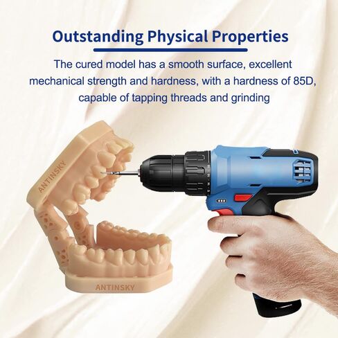 Antinsky Standard Dental Model Resin Dental Model Crown and Bridge Model, Orthodontic Model, Implant Model DLP LCD UV-Curing 405nm 3D Resin Printer 100°C Heat Resistance High Precision Beige 1kg in Kuwait