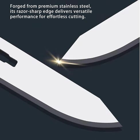 100-Pack #60XT Stainless Steel Surgical Blades – Compatible with Havalon Piranta Hunting Knives, Skinning Knives, Fishing Knives in Kuwait