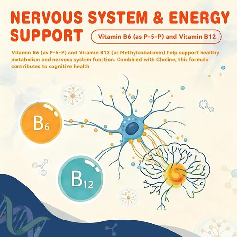علكات الكولين من أبيسوس للأطفال والكبار، مكملات بيتارترات الكولين الخالية من السكر مع الطحالب أوميجا 3 DHA EPA وB6 B12 النشط، دعم الدماغ والكبد، نباتي، 60 قطعة in Kuwait