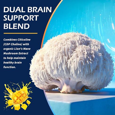 سيتيكولين قطرات سائلة 500 ملغ، CDP كولين للأطفال والكبار، مكمل سيتيكولين لصحة الدماغ ودعم التركيز مع مستخلص عرف الأسد، نكهة المانجو، 2 أونصة سائلة in Kuwait