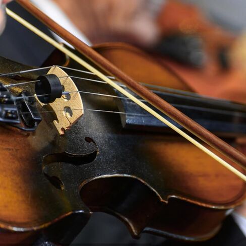 4 in 1 Violin Cleaning Cloth Kit, Stainless Steel Violin Strings, Wood Bridge & Cleaning Cloth Kit, Replacement Set with & for Violin in Saudi Arabia