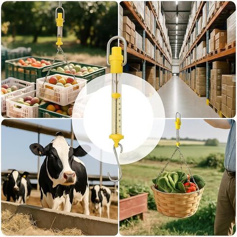 مجموعة من 6 موازين زنبركية بلاستيكية أنبوبية، 1N–50N نيوتن وجرام، مجموعة مقياس قوة ديناميكي تعليمي لفصول الفيزياء والتجربة العلمية واستخدام مختبر الطلاب in Kuwait