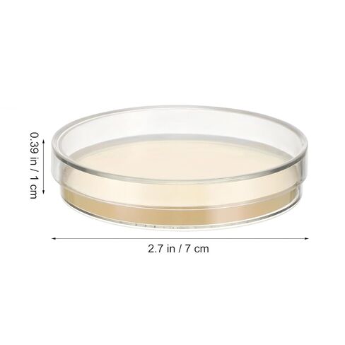 iplusmile 20pcs Pre-Poured Nutrient Agar Plates Laboratory Science Experiment Supplies for School Projects Microbiology Analysis Safe and Strong Material for Engaging Learning in Saudi Arabia
