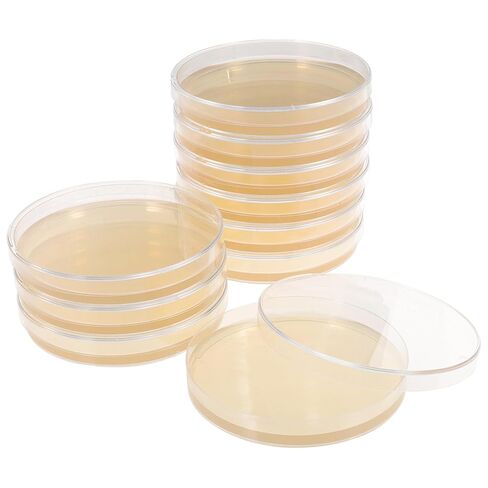 Totority Potato Dextrose Agar Petri Dishes - Prepoured Potato Dextrose Agar (PDA) - for Mushrooms, Home Test Kit, or for Science Fair Projects, Petri Dishes with Agar in Saudi Arabia