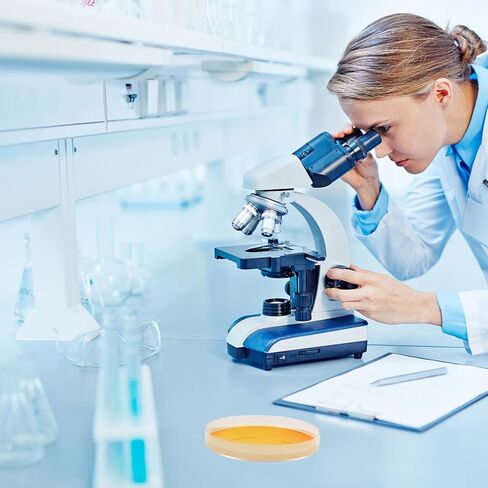 Totority Potato Dextrose Agar Petri Dishes - Prepoured Potato Dextrose Agar (PDA) - for Mushrooms, Home Test Kit, or for Science Fair Projects, Petri Dishes with Agar in Saudi Arabia