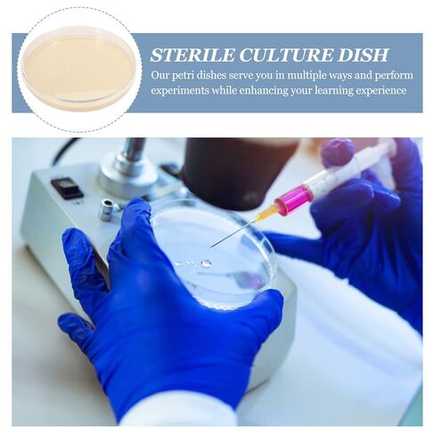 Totority Potato Dextrose Agar Petri Dishes - Prepoured Potato Dextrose Agar (PDA) - for Mushrooms, Home Test Kit, or for Science Fair Projects, Petri Dishes with Agar in Saudi Arabia