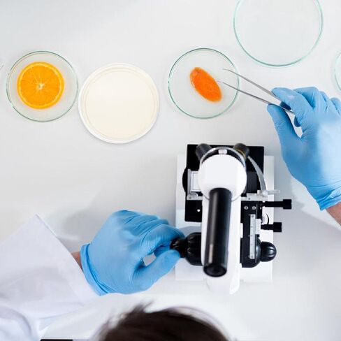 Totority Potato Dextrose Agar Petri Dishes - Prepoured Potato Dextrose Agar (PDA) - for Mushrooms, Home Test Kit, or for Science Fair Projects, Petri Dishes with Agar in Saudi Arabia