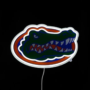 Saturday Neon Officially Licensed NCAA Florida Gators LED Neon Light Up Sign, 15" - Perfect for Fans and Alumni in Kuwait