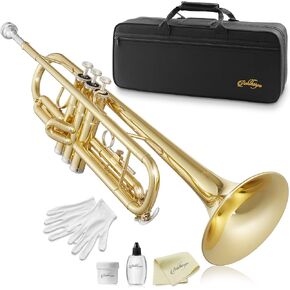 Ashthorpe Standard Bb Trumpet with Gold Brass Finish - Includes Case, Mouthpiece, Gloves, Cleaning Cloth, Valve Oil in Kuwait