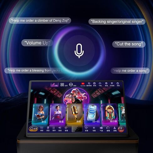 14.1-inch Touchscreen New Chinese Karaoke Sound System, Equipped with 2 Wireless Microphones, Built-in Speakers, Supports YouTube Playback, Suitable for Home Gatherings, KTV Singing（6TBHard Drive） in Saudi Arabia