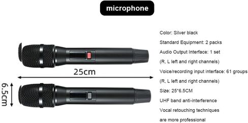 14.1-inch Touchscreen New Chinese Karaoke Sound System, Equipped with 2 Wireless Microphones, Built-in Speakers, Supports YouTube Playback, Suitable for Home Gatherings, KTV Singing（6TBHard Drive） in Saudi Arabia