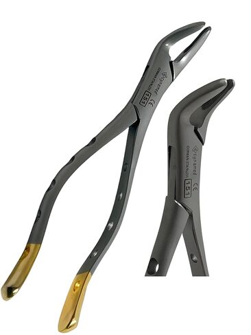 Dental Extracting Extraction Serrated Forceps #151, for Lower Bicuspid, Lower Incisor, Lower Root, Universal, Premium Quality Gold Handle, Stainless Steel in Saudi Arabia