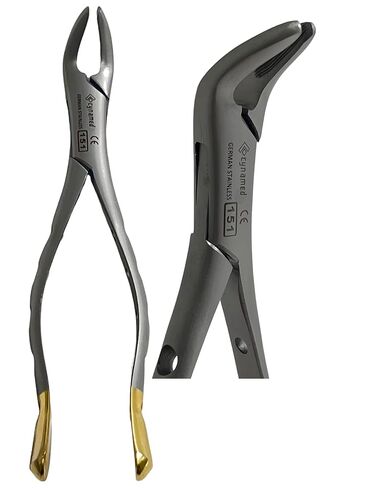Dental Extracting Extraction Serrated Forceps #151, for Lower Bicuspid, Lower Incisor, Lower Root, Universal, Premium Quality Gold Handle, Stainless Steel in Saudi Arabia