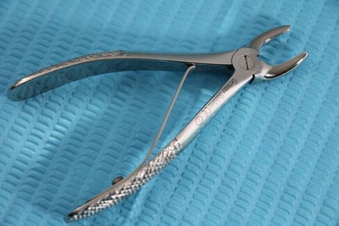 New German Stainless Dental Tooth EXTRACTING Forceps Pedo NO DEFF in Saudi Arabia