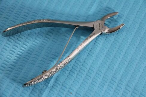 New German Stainless Dental Tooth EXTRACTING Forceps Pedo NO DEFF in Saudi Arabia
