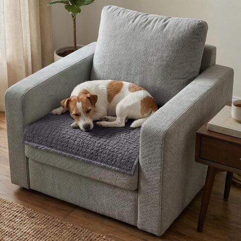 PAULATO BY GA.I.CO. Waterproof Blanket for Bed – King Absorbent Couch Cover for Intimacy – Machine Washable Stain-Resistant Pad for Large Sofa – Pets Cat & Dog Friendly Furniture Protector in Saudi Arabia