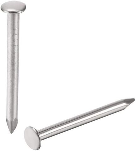 Stainless Steel Hardware Nails, 200 Small Nail Nails 1.4mm X 16mm, Used for DIY Decoration Picture Wooden Box Household Accessories in Saudi Arabia