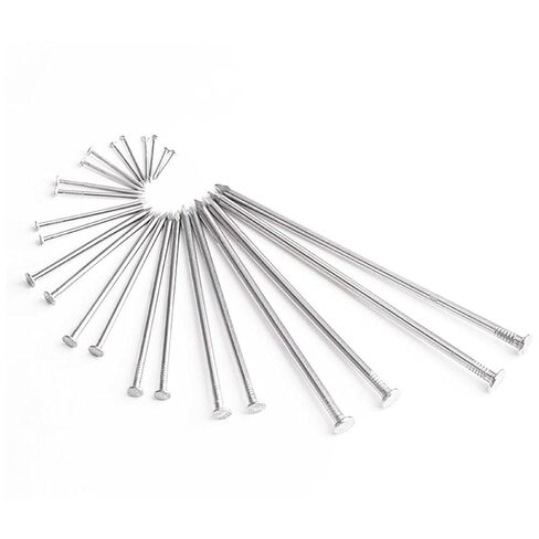 Stainless Steel Hardware Nails, 304 Stainless Steel Nails, Carpenter, Cement Wall, lengthening, 20PCS-1.2 inch(1.0 Inch) in Saudi Arabia