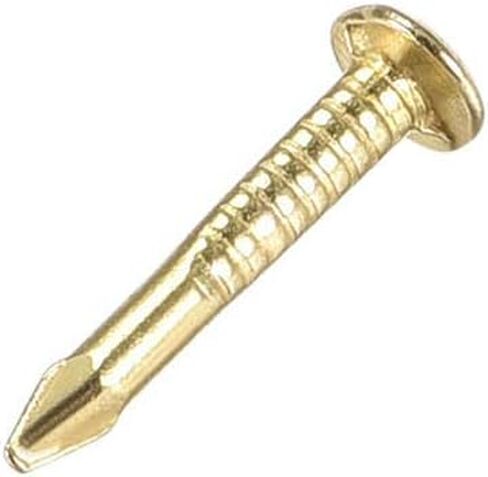 Stainless Steel Hardware Nails, Brass Nails, 300pcs Small, 1x10mm, Used for DIY Decoration Picture Wooden Box Household Accessories, Hardware in Saudi Arabia
