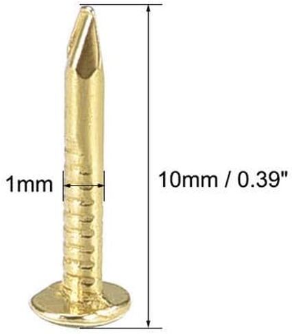 Stainless Steel Hardware Nails, Brass Nails, 300pcs Small, 1x10mm, Used for DIY Decoration Picture Wooden Box Household Accessories, Hardware in Saudi Arabia
