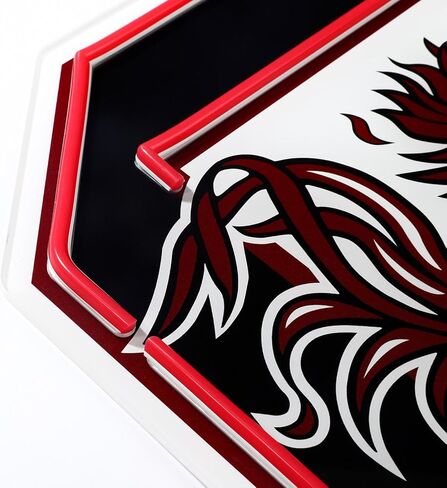 Saturday Neon Officially Licensed South Carolina Gamecocks LED Neon Sign – 13.6" W x 15" H Red-Emitting Wall Light with Adjustable Brightness, Inline Dimmer Switch, USB Powered with Outlet Adapter – College Wall Décor in Kuwait