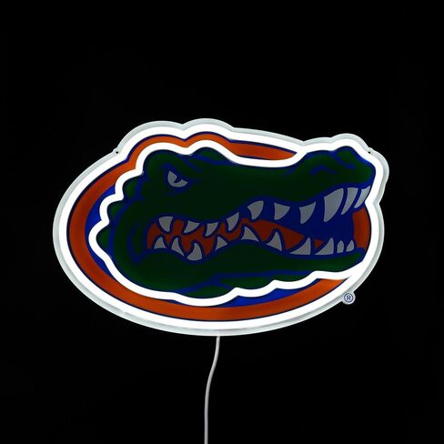 Saturday Neon Officially Licensed NCAA Florida Gators LED Neon Light Up Sign, 15" - Perfect for Fans and Alumni in Kuwait