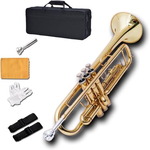 آلة البوق الموسيقية الذهبية المسطحة ب، فرقة البوق الاحترافية ثلاثية النغمات تعزف الآلات الموسيقية الغربية مع بدلة صيانة الصندوق in Kuwait