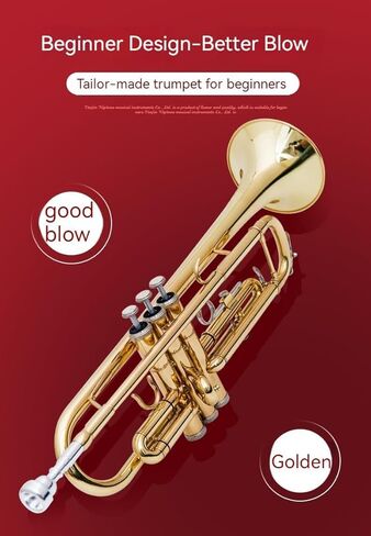 آلة البوق الموسيقية الذهبية المسطحة ب، فرقة البوق الاحترافية ثلاثية النغمات تعزف الآلات الموسيقية الغربية مع بدلة صيانة الصندوق in Kuwait