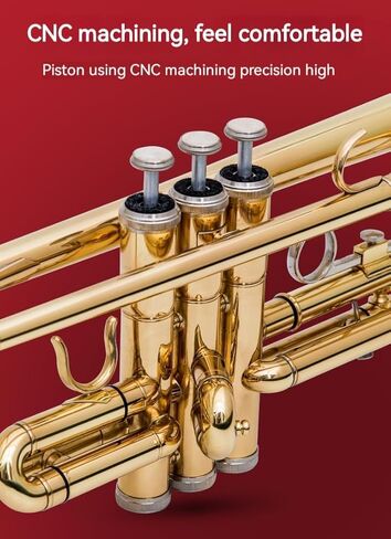 آلة البوق الموسيقية الذهبية المسطحة ب، فرقة البوق الاحترافية ثلاثية النغمات تعزف الآلات الموسيقية الغربية مع بدلة صيانة الصندوق in Kuwait